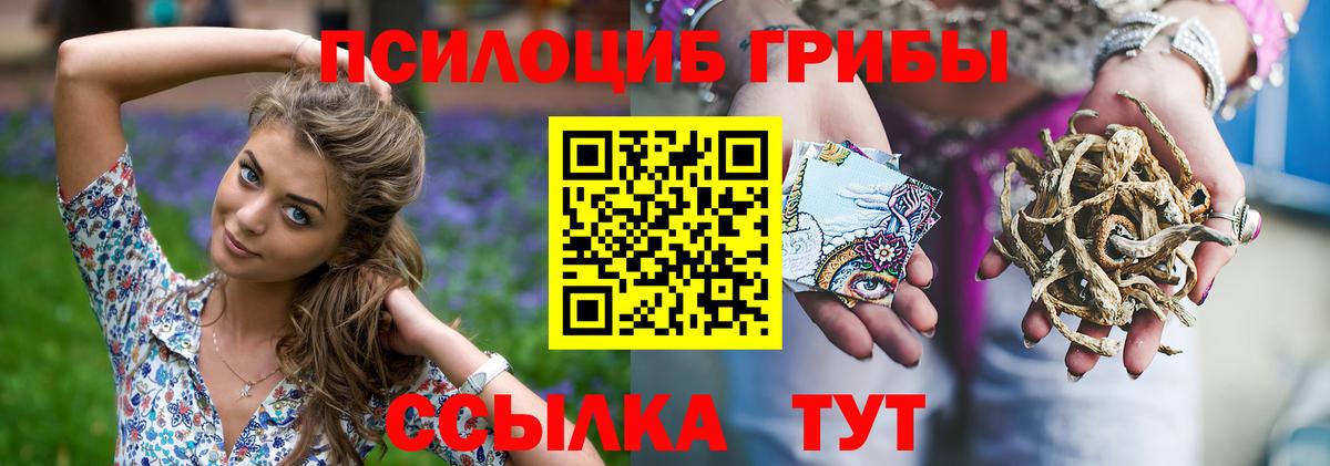 Псилоцибиновые грибы GOLDEN TEACHER  Галлюциногенные грибы мухоморы  Чернушка  Вход с VPN 